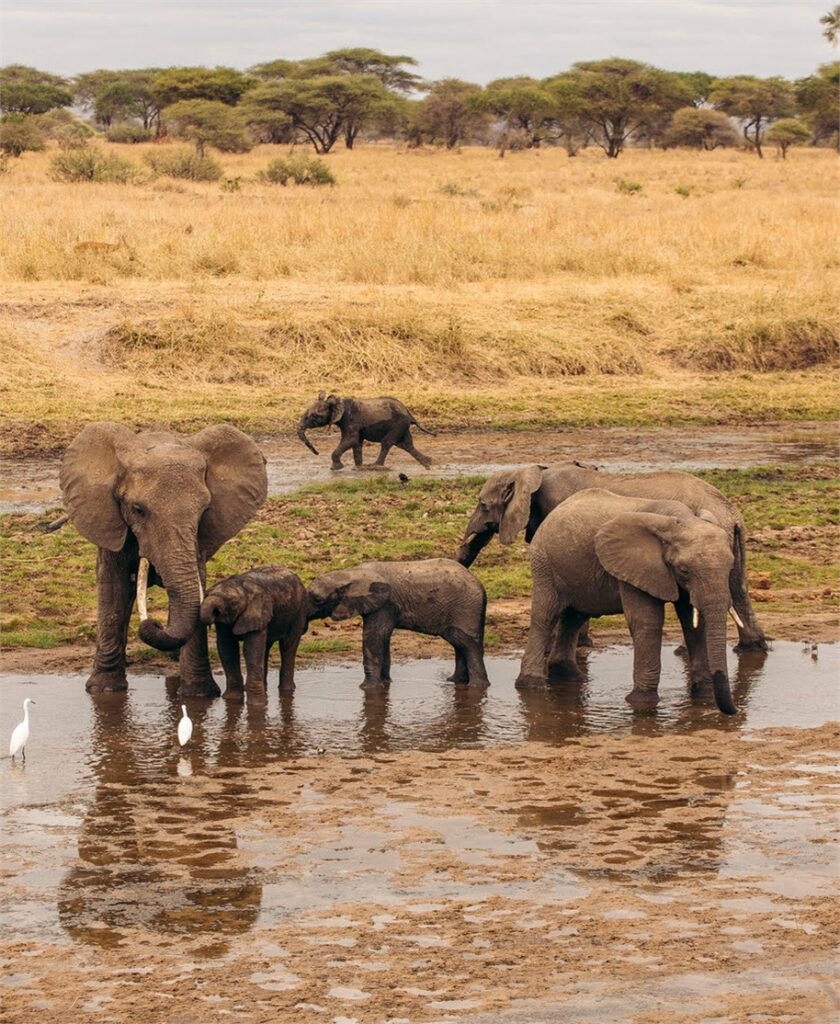 Stay Near Ngorongoro – Skylark Hotel, Karatu